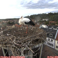 19_00-nest.jpg