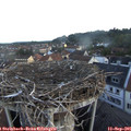 07_05-nest.jpg