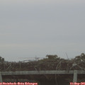 07_15-mast.jpg