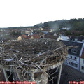 07_15-nest.jpg