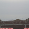 07_30-mast.jpg