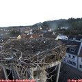 07_30-nest.jpg