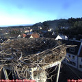 07_55-nest.jpg