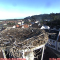 08_30-nest.jpg
