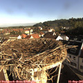 08_35-nest.jpg