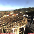 08_40-nest.jpg