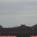 08_45-mast.jpg