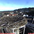 08_45-nest.jpg