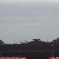 08_50-mast.jpg