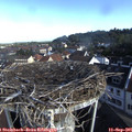 08_50-nest.jpg