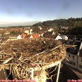 08_55-nest.jpg