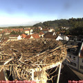 09_05-nest.jpg