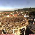 09_15-nest.jpg