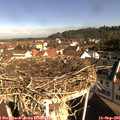 09_25-nest.jpg