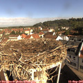 09_35-nest.jpg