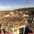 09_40-nest.jpg