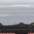 09_50-mast.jpg