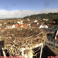 09_50-nest.jpg