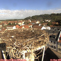 09_55-nest.jpg