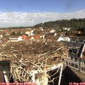 10_00-nest.jpg