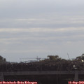10_05-mast.jpg