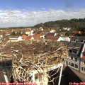 10_05-nest.jpg