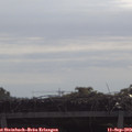 10_15-mast.jpg