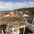 10_15-nest.jpg
