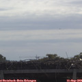 10_25-mast.jpg