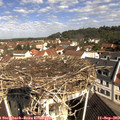 10_30-nest.jpg
