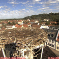 10_35-nest.jpg