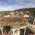 10_40-nest.jpg