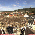 11_05-nest.jpg