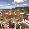 11_40-nest.jpg