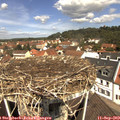 11_45-nest.jpg
