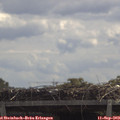 11_50-mast.jpg