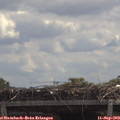 11_55-mast.jpg