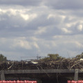 12_00-mast.jpg