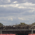12_05-mast.jpg