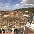 12_05-nest.jpg