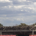 12_10-mast.jpg