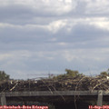 12_15-mast.jpg