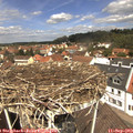 12_15-nest.jpg