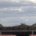 12_20-mast.jpg