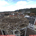 12_25-nest.jpg