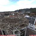 12_30-nest.jpg