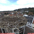12_35-nest.jpg