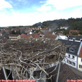 12_45-nest.jpg