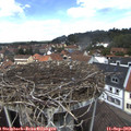 12_50-nest.jpg