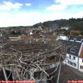 12_55-nest.jpg